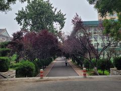 -山东师范大学(千佛山校区)