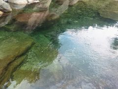 -无染寺