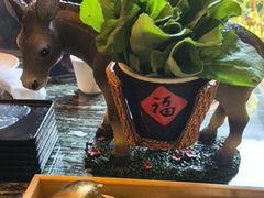 -慢丽江·云南野生菌土鸡锅(付家庄店)