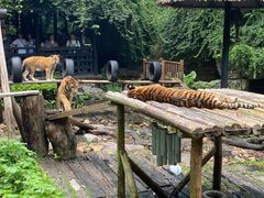-广州长隆野生动物世界