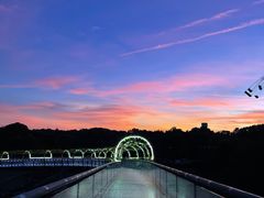-花博汇(知音花月夜)