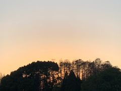 -青山公园萤火虫科普展