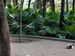 -晓港公园