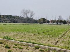 -嘉北郊野公园