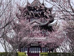 -上海海湾国家森林公园