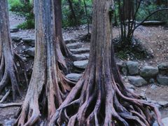-西湖风景区十里琅珰-五云山