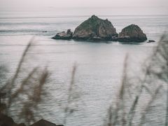 -枸杞岛