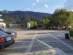 -江西阳明山国家森林公园