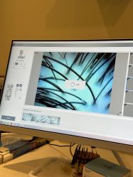 -史云逊养发护发