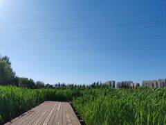 -永定河休闲森林公园