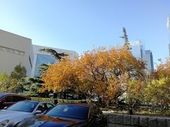 -北京保利大厦酒店(东四十条地铁站店)