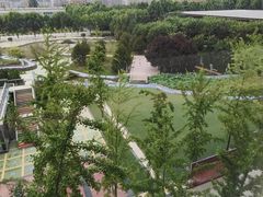 -西京医院