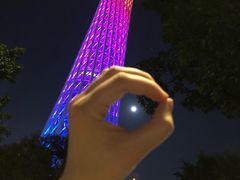 -珠江夜游广州塔·中大码头