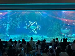 -海合安成都极地海洋公园