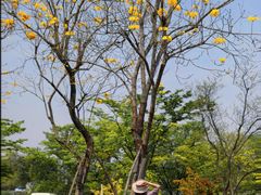 -白鹭湾湿地公园