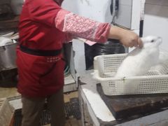-东吴霸王兔(松青路店)