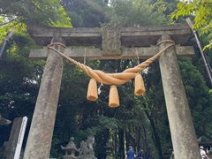 -上色见熊野座神社