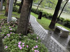 -惠州西湖丰渚园