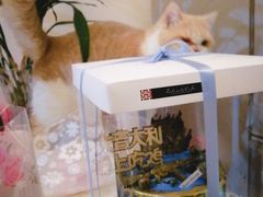 -Dark Horse·黑马蛋糕·低脂·低糖淡奶(金匙望湖大厦店)