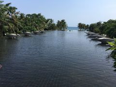 -亚龙湾喜来登·美景台大堂吧