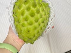 -油麻地果栏