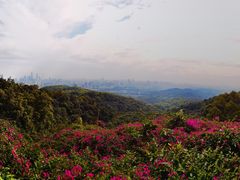 -广州市白云山风景名胜区