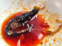 -禄鼎记·多口味酸菜鱼(侨鑫店)