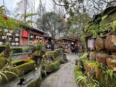 -青城甲(青城山店)