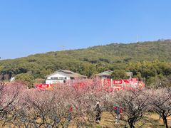 -无锡梅园公园