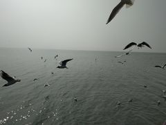 -抚仙湖禄充风景区