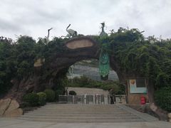 -石老人观光园