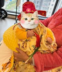 -天禧专业理胎发纪念品乐园·婴儿宝宝理发剃胎毛胎头胎毛笔定制店