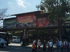 -海南槟榔谷黎苗文化旅游区