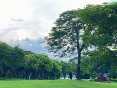 -顺峰山公园