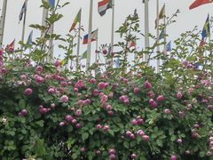 -南京国际青年文化中心