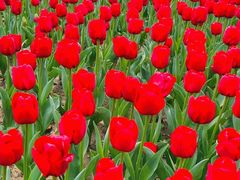 -玄武湖景区-情侣园游乐场