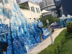 -西安曲江海洋极地公园