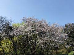 -北高峰