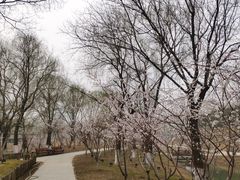 -河北省园博园