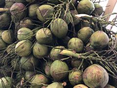 -都念榴莲·城市榴莲