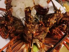 -同乐酒楼(皇后镇店)