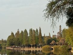-云南民族村