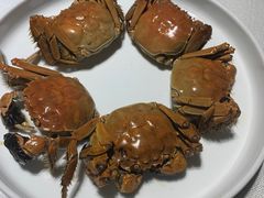 -旺顺阁鱼头泡饼(常营店)