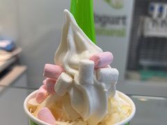 -Salud撒露欧洲冻酸奶(蓝色港湾店)