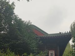 -环城公园