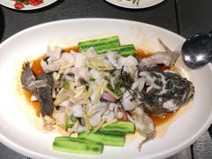 -粤凤佬