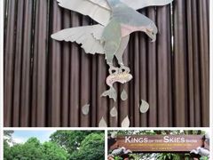 -新加坡飞禽公园