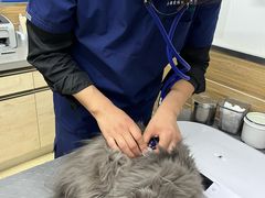 -爱侣宠医·鹦鹉专科·小型哺乳类·异宠专科(灵石路店)