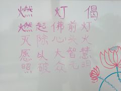 -白洋淀景区