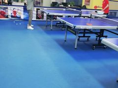 -乐旋乒乓球(深圳南油店)